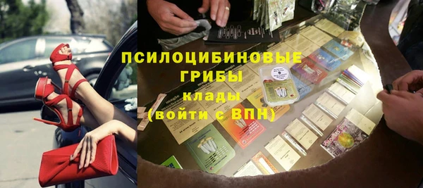 прущая мука Богородицк